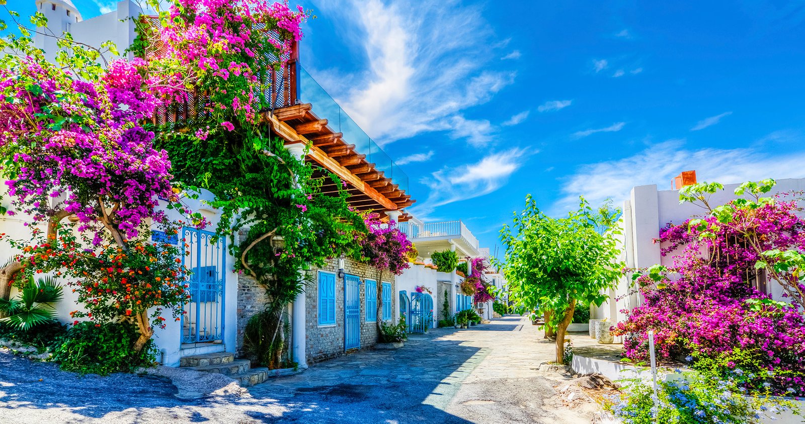 bodrum_portfolio_01 Vivamos Bodrum